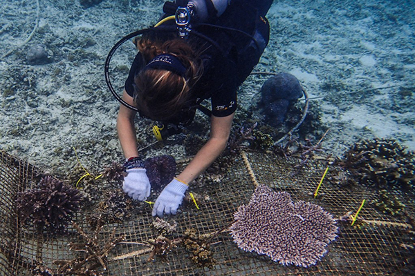 Sea-heritage-gili-trawangan-club