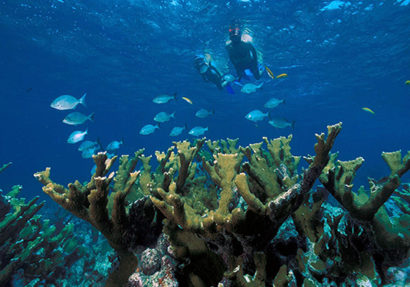 SEA HERITAGE Voyage à destination de  Indonesia - Sustainability First on Gili Trawangan