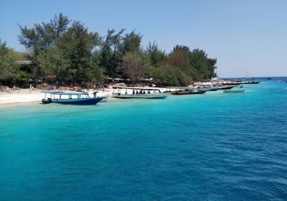 SEA HERITAGE Voyage à destination de  Indonesia - And if we rebuilt the reef ...