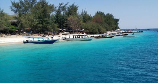 Voyage à destination de Indonésie - 15 jours de plongée en Indonésie pour reconstruire le récif.