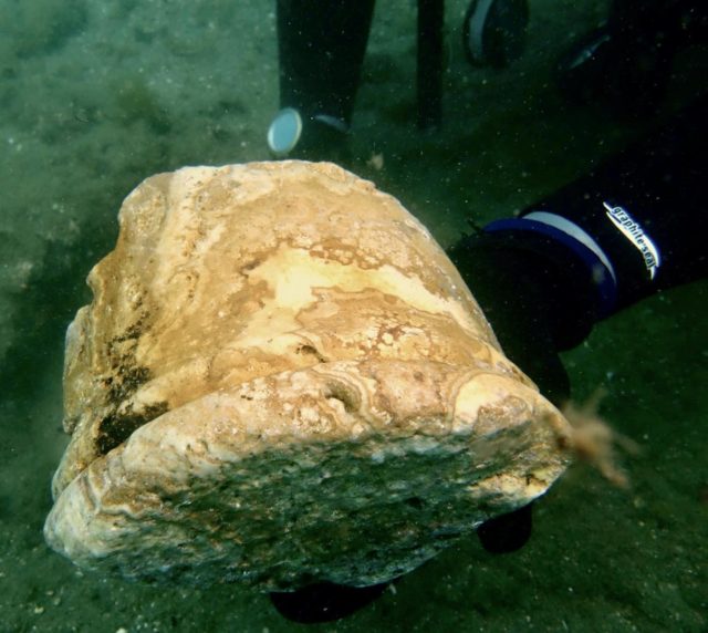 2000 years old columns, antics emperor Claudio house...underwater!!!
#baia #subaia #naples #historicaldive #underwaterarchaeology #seaheritagetravel #scubadiving #travel