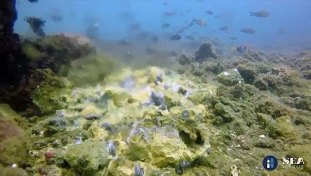 Baia hot water in cold water... volcano hot springs!
Credit: Douros 
#baia #underwaterarchaeology #subaia #romanempire #historicaldive #seaheritagetravel  #scubadiving #travel #volcano