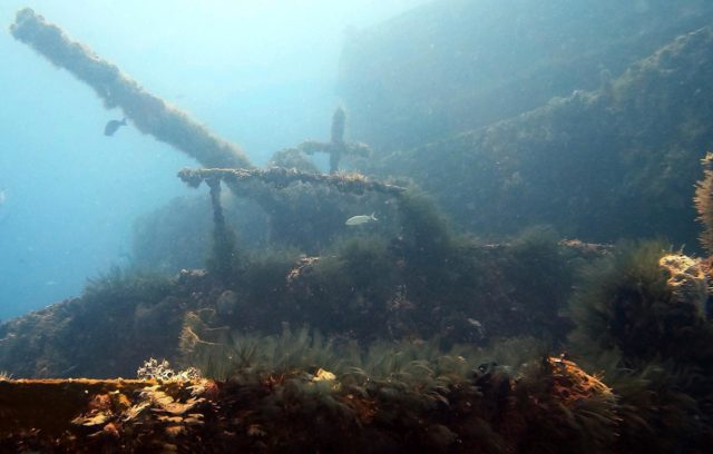 Historical wreck diving!!
#historicalwreck #wwiiwrecks #mexico #scubadiving #seaheritagetravel #wreckdiving #historicaldive